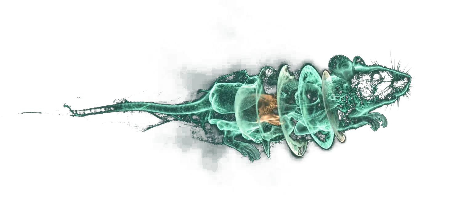 Concept visualisation: a mouse rendered as a particle cloud, its body separating into translucent anatomical cross-sections with one organ glowing.